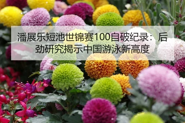 潘展乐短池世锦赛100自破纪录：后劲研究揭示中国游泳新高度